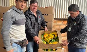 SENAVE certifica locote producido en Yguazú