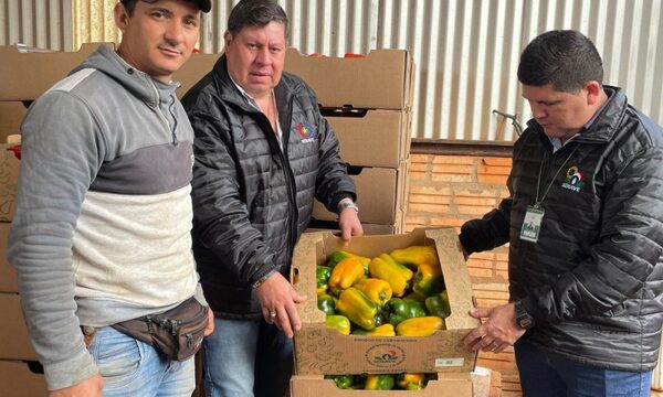 SENAVE certifica locote producido en Yguazú