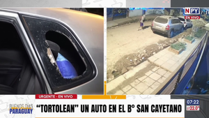 Tortolero liberado en menos de 24 horas volvió a delinquir perjudicando a un trabajador