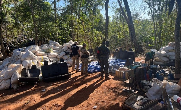 SENAD desmantela megaestructura de procesamiento de marihuana en Amambay