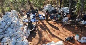 Diario HOY | Desmantelan campamento narco donde procesaban marihuana a gran escala en Amambay