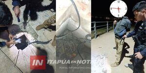 SUJETO FUE SORPRENDIDO HURTANDO CABLES EN CAMBYRETÁ 