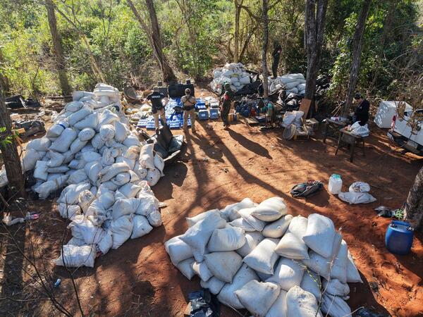 Desmantelan una estructura de procesamiento de marihuana en Amambay - trece