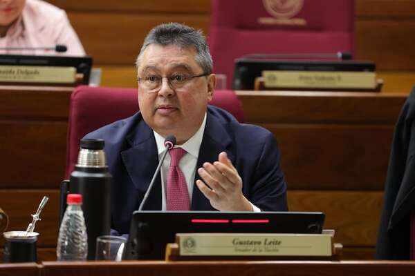 Comisión de RR.EE. del Senado vota a favor de designación de Leite como embajador en EE.UU. - Política - ABC Color