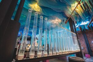 Vacaciones en el MuCi: Última oportunidad para explorar “Tierra de Agua” y una agenda llena de ciencia y diversión - La Tribuna