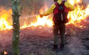 Aun falta para que llegue agosto, pero ya iniciaron los incendios en pastizales