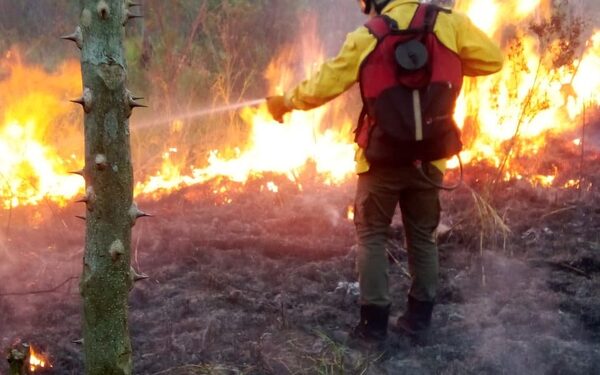 Aun falta para que llegue agosto, pero ya iniciaron los incendios en pastizales