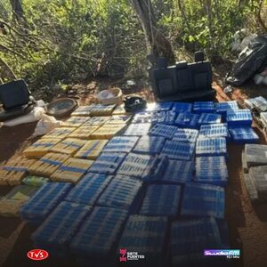 GOLPE HISTÓRICO AL NARCOTRÁFICO: SENAD DESMANTELA FÁBRICA DE MARIHUANA EN LA FRONTERA - «TVS DIGITAL»