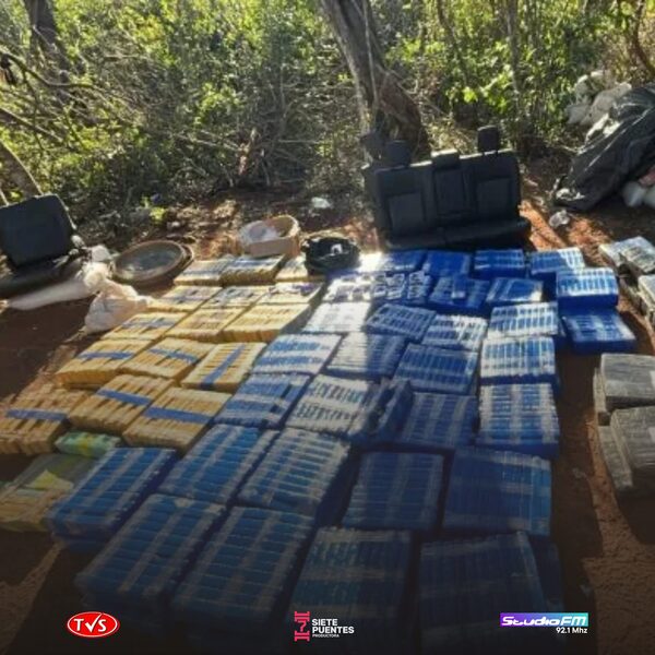 GOLPE HISTÓRICO AL NARCOTRÁFICO: SENAD DESMANTELA FÁBRICA DE MARIHUANA EN LA FRONTERA - «TVS DIGITAL»