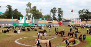 La Nación / Expo Paraguay 2025: arrancó segunda jornada de juzgamiento de animales