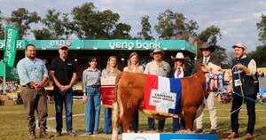 La Nación / Ejemplares de Polled Hereford ya tienen sus grandes campeones