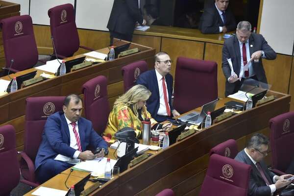 AUDIO: Senado aprueba informe de la Comisión “Garrote” - Periodísticamente - ABC Color