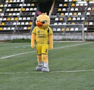 Recoleta FC: Show del Canario en el sintético - Fútbol - ABC Color
