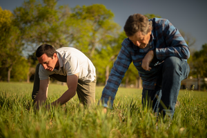 Syngenta consolida su liderazgo global en productos biológicos para una agricultura sustentable
