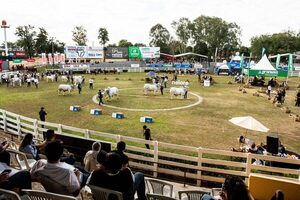 La genética paraguaya deslumbra en la pista y se llena de elogios, en el segundo día de pista