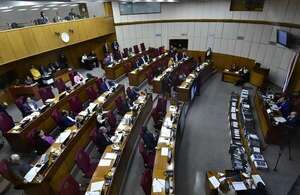 Peña pinta país “exitoso”, pero Senado acepta su veto contra la pensión por discapacidad - Política - ABC Color