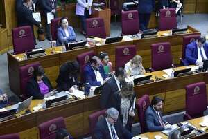 Ante mafia de pagarés, Senado limita embargos a funcionarios - Política - ABC Color