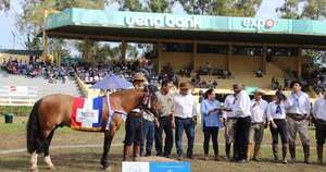 La Nación / Caballos criollos: surgen los primeros grandes campeones