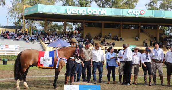 La Nación / Caballos criollos: surgen los primeros grandes campeones