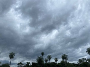 Jueves fresco con probabilidades de lluvia