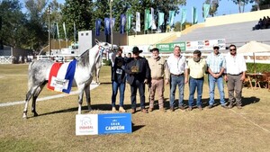 La Expo ya tiene a sus primeros grandes campeones en equinos