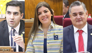 Diputados de Alto Paraná en la mira por escasa productividad legislativa - La Clave