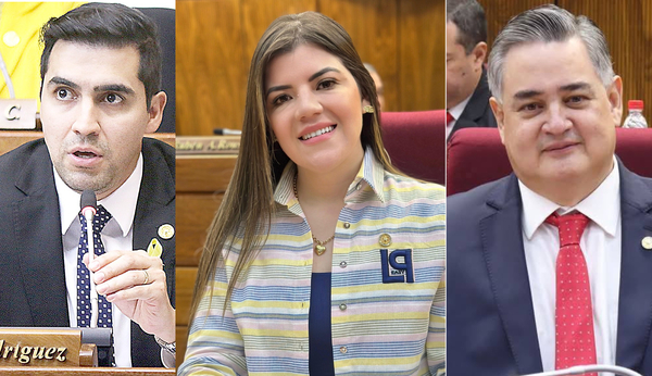 Diputados de Alto Paraná en la mira por escasa productividad legislativa - La Clave
