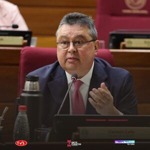 ¿INTENTARÁ GUSTAVO LEITE LEVANTAR LAS SANCIONES DE EE.UU. A HORACIO CARTES? ESTO DICE EL SENADOR - «TVS DIGITAL»