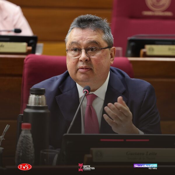 ¿INTENTARÁ GUSTAVO LEITE LEVANTAR LAS SANCIONES DE EE.UU. A HORACIO CARTES? ESTO DICE EL SENADOR - «TVS DIGITAL»