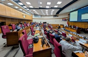 Muerte de «niña-madre» tras dar a luz fue tema de debate en el Senado