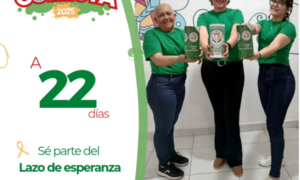Fundación Apostar por la Vida necesita voluntarios para colecta
