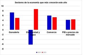 Agua y electricidad, comercio y ganadería son los sectores que más crecerán este año