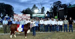 La Nación / Ganadera Las Pampas se alza con importantes premios en raza Braford