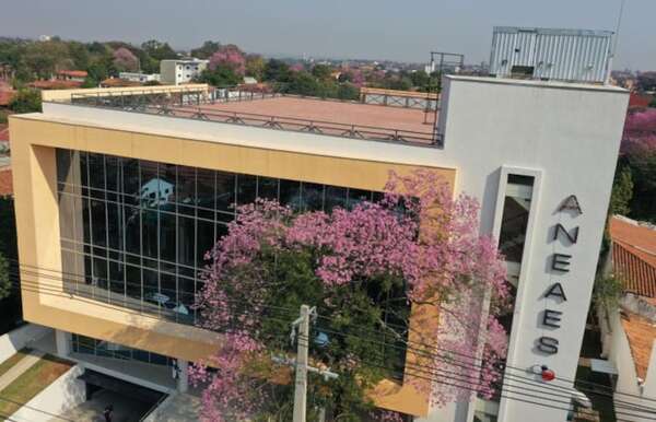 Hay diplomas de abogados sin validez académica, dice Aneaes - Nacionales - ABC Color
