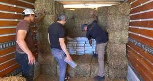 Diario HOY | Interceptan más de 2 toneladas de marihuana ocultas en un argamento de alfalfa