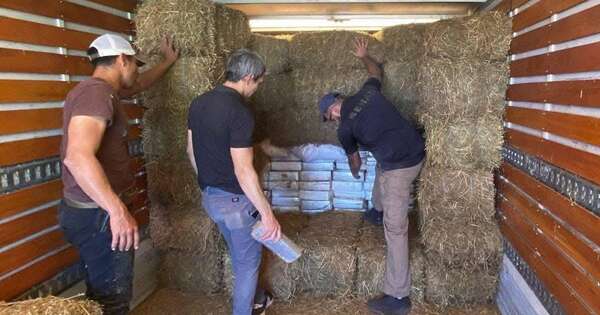 Diario HOY | Interceptan más de 2 toneladas de marihuana ocultas en un argamento de alfalfa