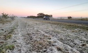 Encarnación y Pilar llegarán a 4 °C este viernes, según Meteorología