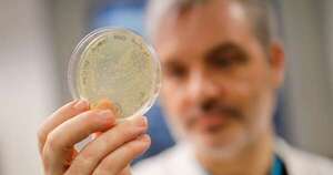 La Nación / Científicos advierten sobre un nuevo gen que genera superbacterias