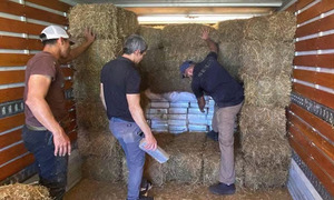 SENAD intercepta camión con más de 2.000 kilos de droga en La Paloma - OviedoPress