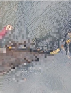 Hallan dos cadáveres mutilados en San Pedro del Paraná
