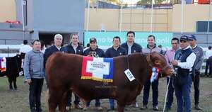 La Nación / Ganadera Sofía obtuvo importante mención como reserva de gran campeón en la raza Angus