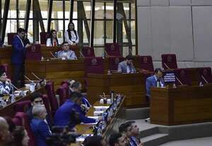 Informe de Comisión “Garrote” es tan irrelevante que Diputados lo ignoró en su orden del día - Política - ABC Color