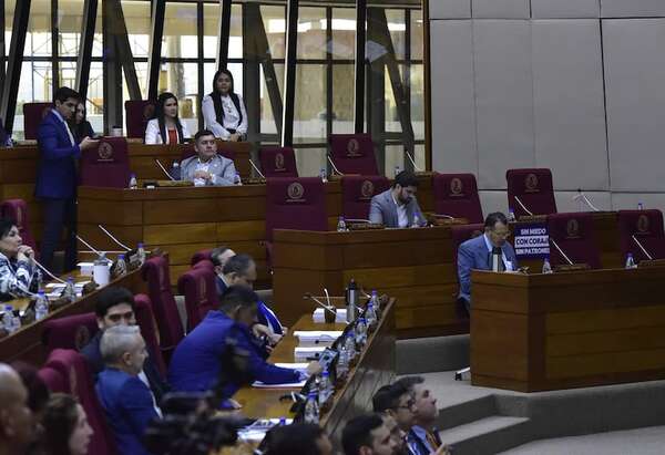 Informe de Comisión “Garrote” es tan irrelevante que Diputados lo ignoró en su orden del día - Política - ABC Color