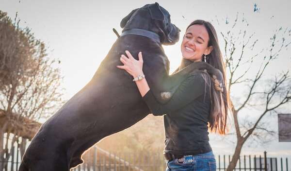 Perros que saltan sobre las personas: cómo corregir la conducta sin castigos - Mascotas - ABC Color