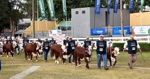 El Ruedo de la Expo Paraguay ARP se llenó de alto nivel genético