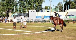La Expo Paraguay ARP 2025 ya conoce a sus primeros grandes campeones