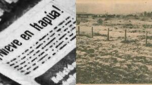 Se cumplen 50 años de la histórica nevada en Encarnación