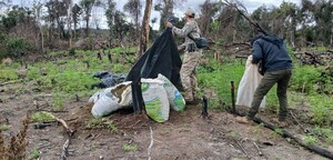 Senad elimina 12 toneladas de marihuana en el frente Caaguazú - .::Agencia IP::.