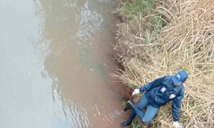 Dos cuerpos con rastros de violencia son hallados en un arroyo en San Pedro del Paraná – Prensa 5