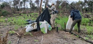 Senad arrasa con 12 toneladas de marihuana en zona rural de Caaguazú - ADN Digital